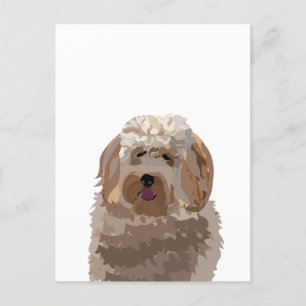 Carte Postale Chien Labradoodle Mignon