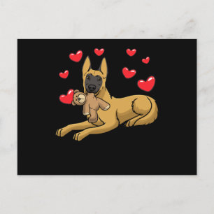 Carte Postale Chien Malinois avec animal farci Berger Belge