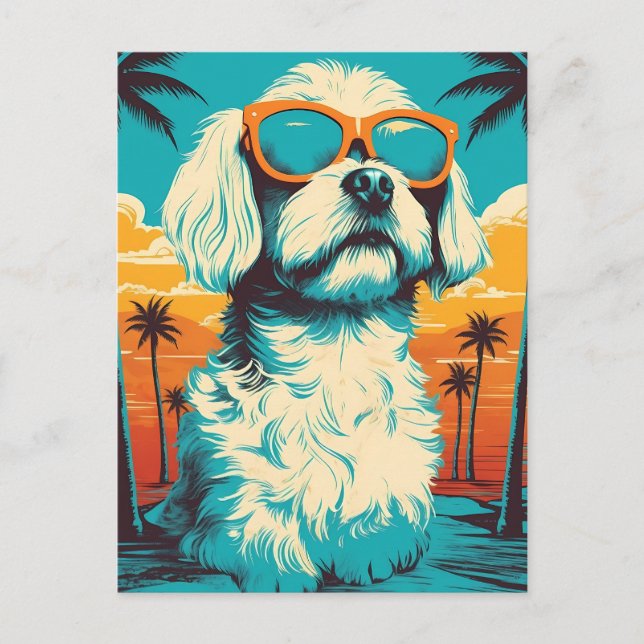 Carte Postale Chien maltais avec lunettes de soleil à la plage (Devant)