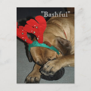 Carte Postale Chien Mastiff Anglais Bashé Avec Des Antlers De Ri