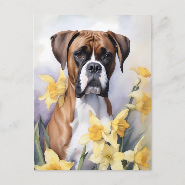 Carte Postale Chien mignon De Boxe Avec Daffodiles Jaunes Aquare (Devant)