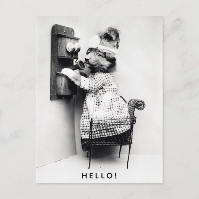 Carte Postale Chien mignon vintage Bonjour salutations (Devant)