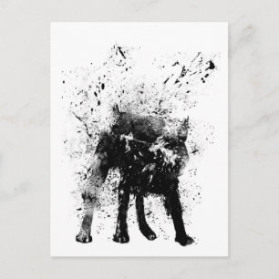 Carte Postale chien mouillé