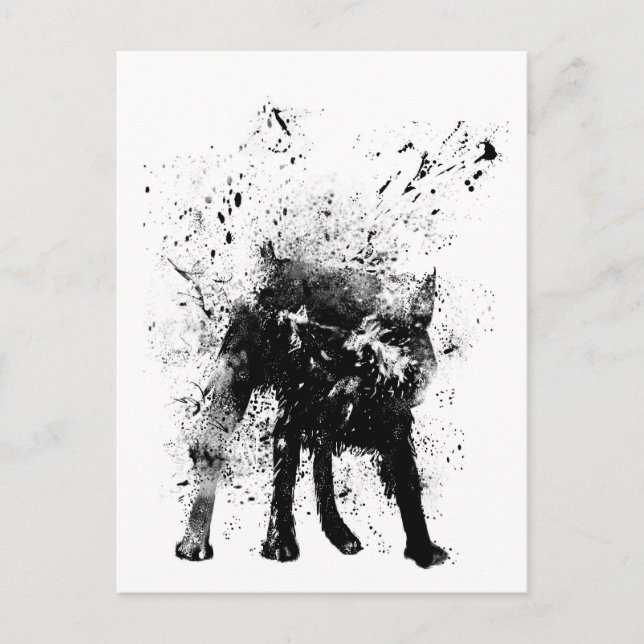 Carte Postale chien mouillé (Devant)