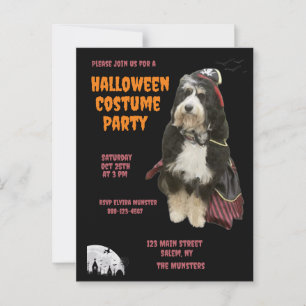 Carte Postale Chien noir et orange à la fête du costume de pirat