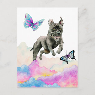 Carte Postale Chien Noir Qui Saute Sur Les Nuages Arc-En-Ciel