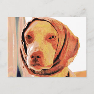Carte Postale Chien patient