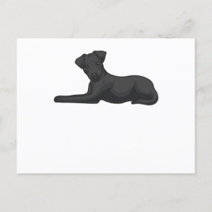 Carte Postale Chien Patterdale Terrier