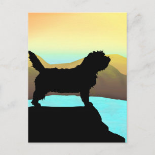 Carte Postale Chien PBGV En Mer