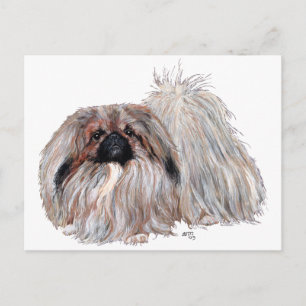 Carte Postale Chien Pékinois Debout