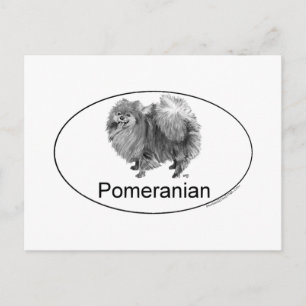 Carte Postale Chien Poméranie Eruo