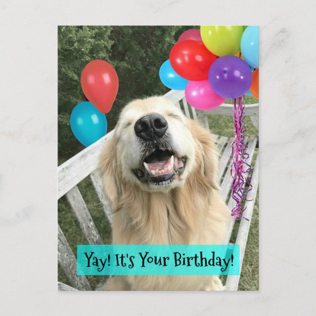 Carte Postale Chien Retriever doré avec ballons Anniversaire (Devant)