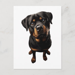 Carte Postale chien rottweiler