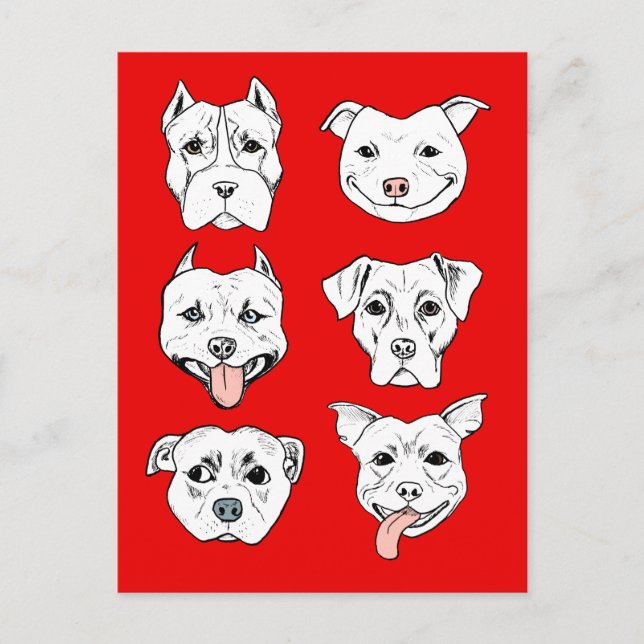 Carte Postale Chien rouge Pit Bull Terrier (Devant)