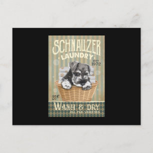 Carte Postale Chien Schnauzer