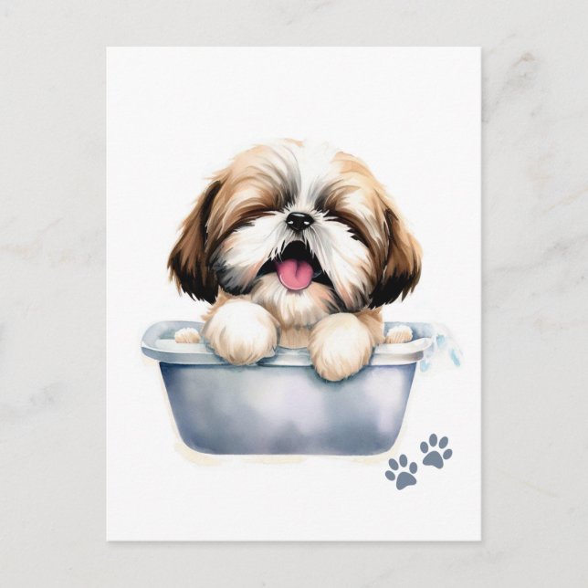 Carte Postale Chien Shih Tzu (Devant)