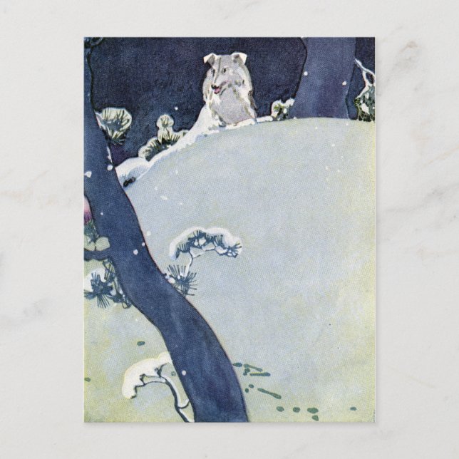 Carte Postale Chien sous pins neigeux (Devant)