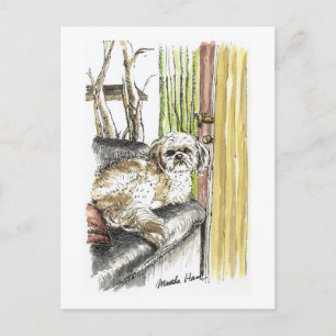 Carte postale Chien sur canapé