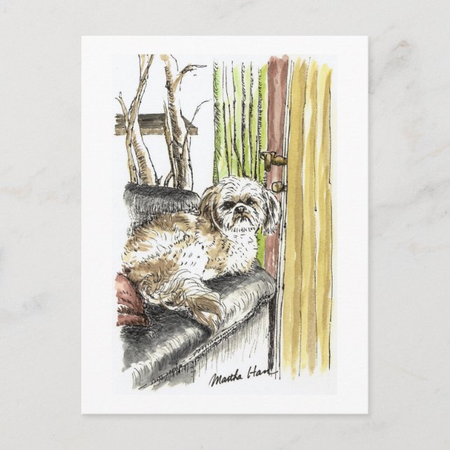 Carte postale Chien sur canapé (Devant)