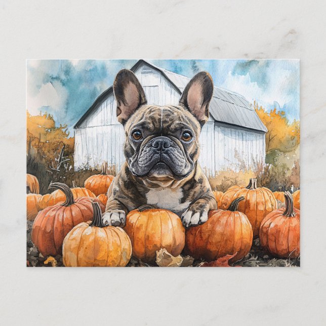 Carte Postale Chien-taureau français dans le Patch Citrouille (Devant)