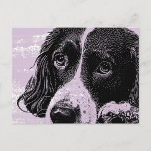 Carte Postale Chien vintage