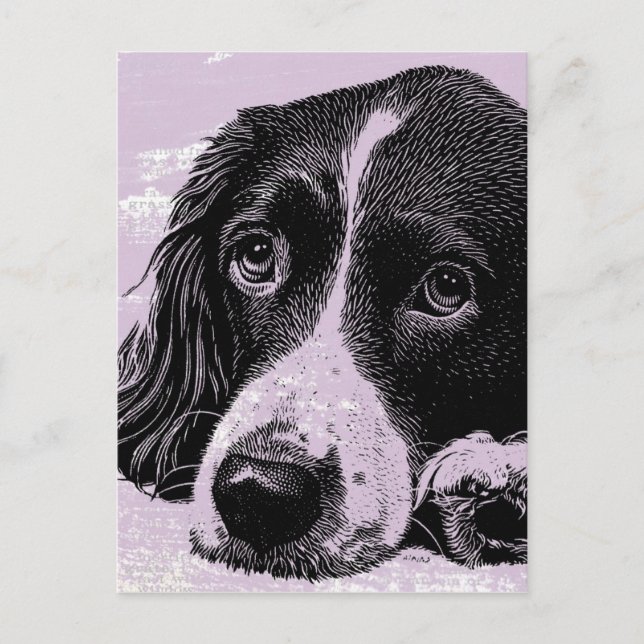 Carte Postale Chien vintage (Devant)