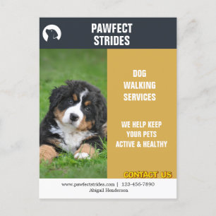 Carte Postale Chien Walker Marketing d'affaires