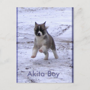 Carte Postale Chiens adoptés