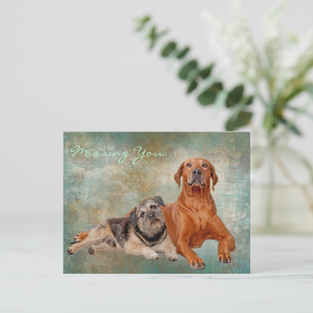 Carte Postale Chiens Adorables Sur L'Art Qui Vous Manquent (Debout devant)