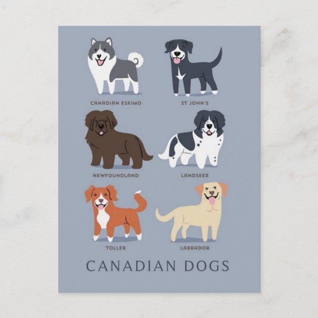 Carte Postale Chiens canadiens (Devant)