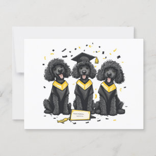 Carte Postale Chiens Caniches Standard de Remise de Diplômes