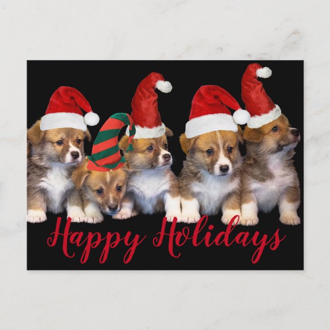 Carte Postale Chiens Chiens Chiots Joyeux Fêtes Noël (Devant)