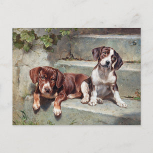 Carte Postale Chiens Chiens Chiots Vintage Vieux