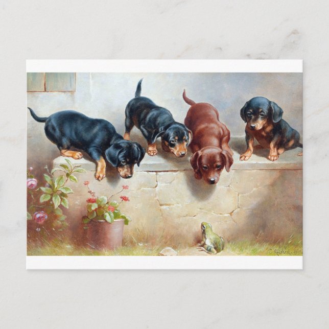 Carte Postale Chiens Chiots Grenouille Illustration Vintage Cart (Devant)