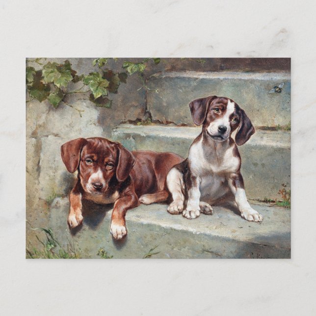 Carte Postale Chiens Chiots Vintage Ancien (Devant)