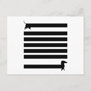 Carte Postale Chiens Dachshund Dogs Drôle mignon Poignard Poigna