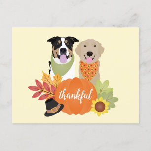 Carte Postale Chiens de grâce Thanksgiving Citrouilles de récolt