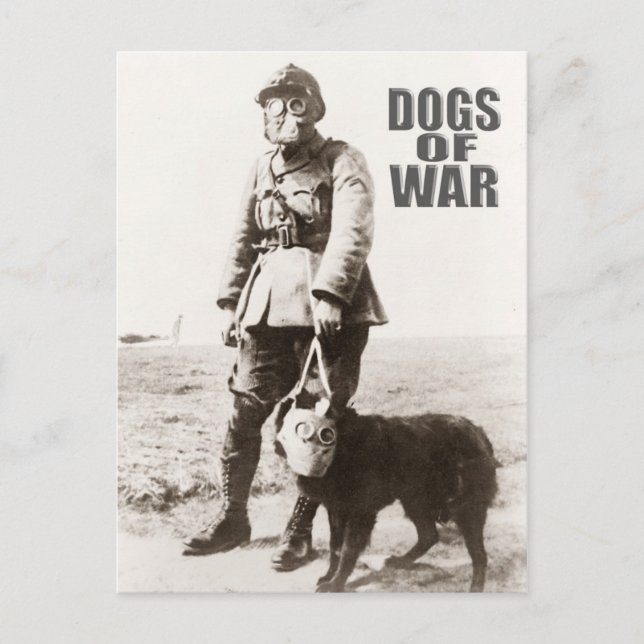 Carte Postale Chiens de guerre portant un masque à gaz (Devant)