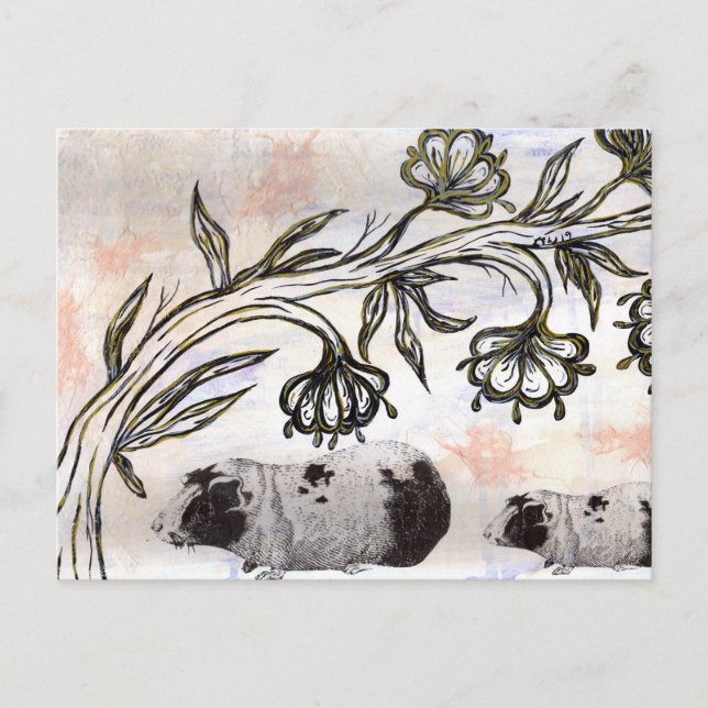 Carte Postale Chiens de Guinée (Devant)