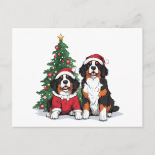 Carte Postale Chiens de montagne bernois de Noël