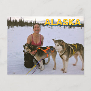 Carte Postale Chiens De Motoneige En Alaska