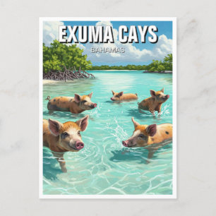 Carte Postale Chiens de natation Exuma Cays Bahamas Voyage