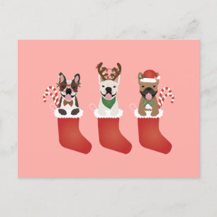 Carte Postale Chiens de Noël Français