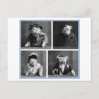 Chiens de taureaux habillés en Humains Oddity Vint