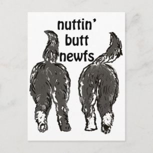 Carte Postale Chiens de Terre-Neuve