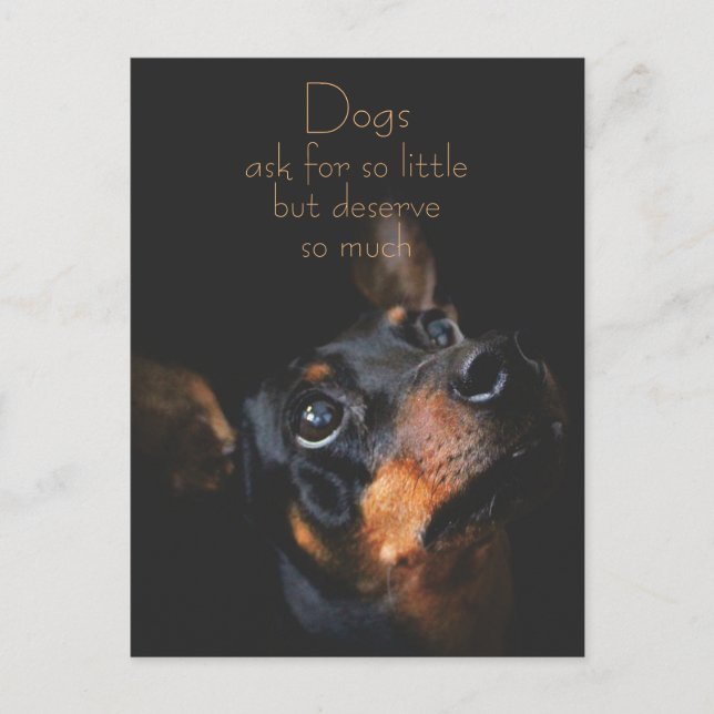 Carte Postale Chiens Demandent Si Peu / Doberman Pinscher (Devant)