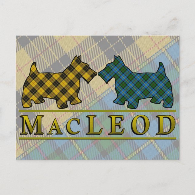 Carte Postale Chiens écossais Clan MacLeod (Devant)