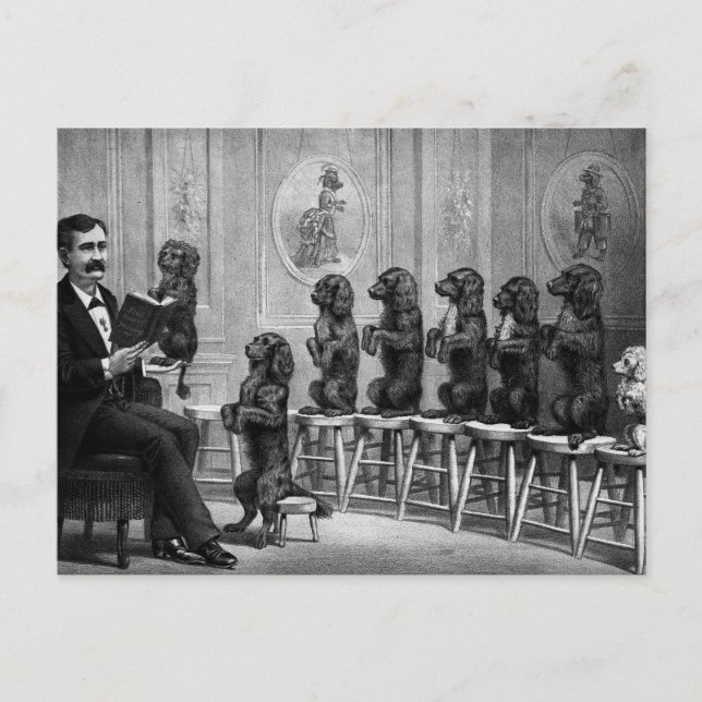Carte Postale Chiens Éduqués (Devant)