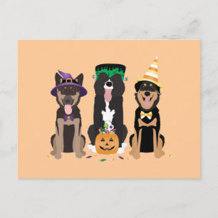 Carte Postale Chiens En Costumes Halloween