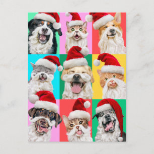 Carte Postale Chiens et chats avec la barbe du Père Noël